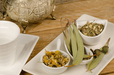 Special Announcement: Naturopathic Medicine Week