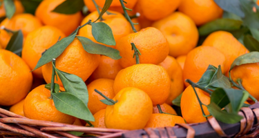 The Difference between Liposomal C and Vitamin C