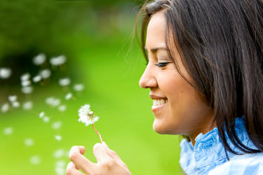 Seasonal Allergy Support: A Science-Backed Guide | DaVinci Labs