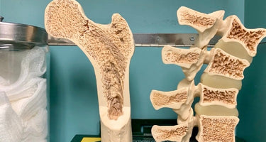 Monitoring Bone Metabolism with the Bone Resorption Test