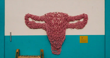Your Uterus: The Preconception Environment