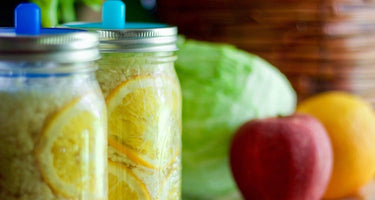 The Gut's Effect on Brain Health and Immunity