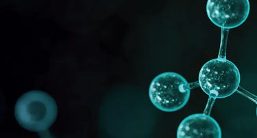 Amino Acids