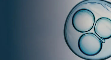 Fertility Support