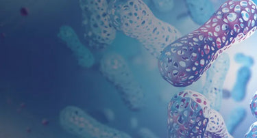 Men's Hormonal Health