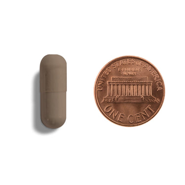 A brown capsule being compared to the size of a penny