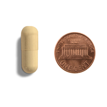 A tan capsule being compared to the size of a penny