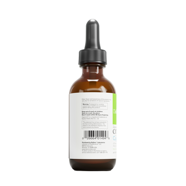 Liposomal Citicoline