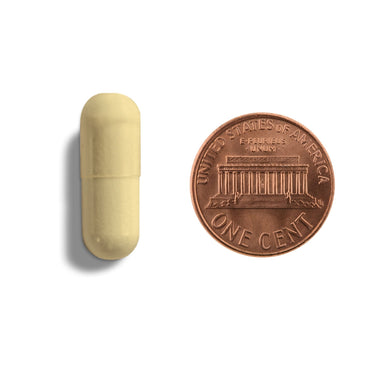 A tan capsule being compared to the size of a penny