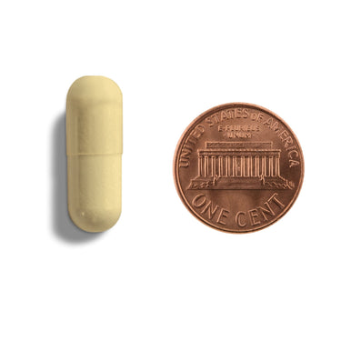 A tan capsule being compared to the size of a penny