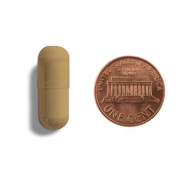 A brown capsule being compared to the size of a penny