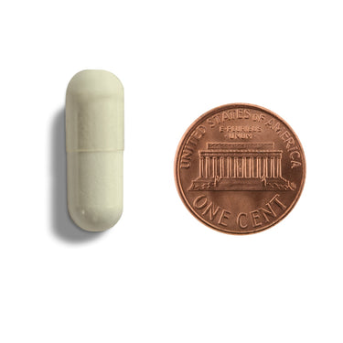 A off-white capsule being compared to the size of a penny