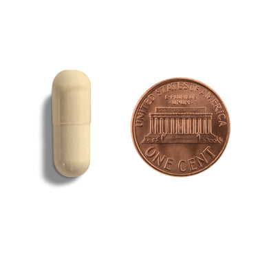 A tan capsule being compared to the size of a penny