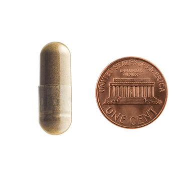 A brown capsule being compared to the size of a penny