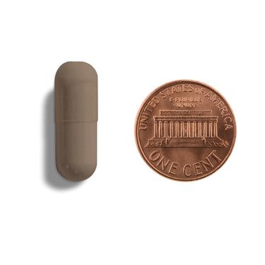 A brown capsule being compared to the size of a penny