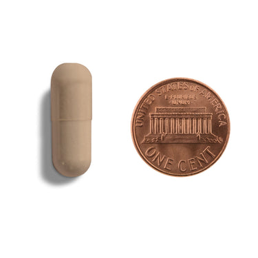 A brown capsule being compared to the size of a penny